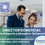 DIRECTOR COMERCIAL